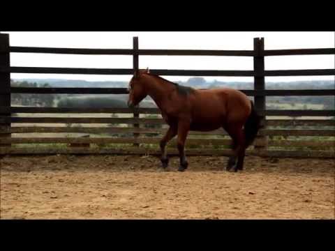 Posteiro da Reconquista