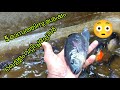 5 മാസത്തിനു ശേഷം വെള്ളം വറ്റിച്ചപ്പോ�
