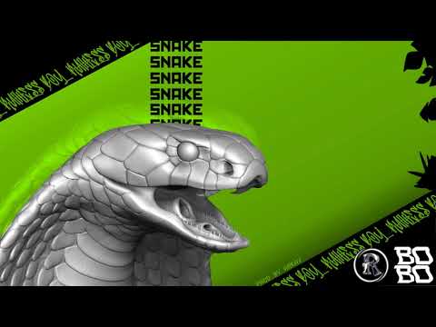 RUTHLESS BOY - SNAKE (PROD. BY ARKAY)