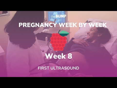 Pregnancy Week 8 | First Ultrasound | Pregnancy Week By Week