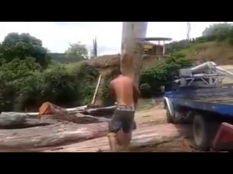 Podjął ogromne bierwiono
