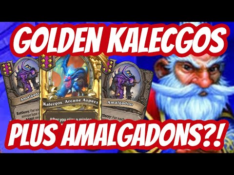 Golden Kalecgos + Amalgadons OP - Hearthstone Battlegrounds