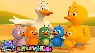 Download lagu 🦆 5 Bebek Melompat di Kolam Renang | Bermain Air & Berhitung Seru | AchuTV4Kids mp3