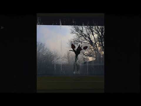 [SOLD] skele x guardin type beat | "tornado"