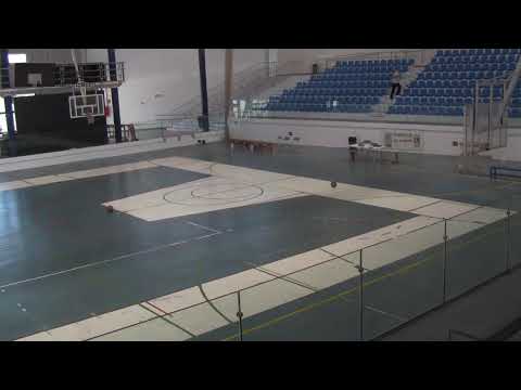 CC PREMINI FEM 2019 CB Sauces Breña Alta - Telde Basket Tara