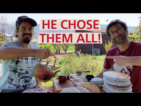 Jo, the Pu'er project, and Su Xin 2017