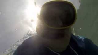 Snorkeling on the big island