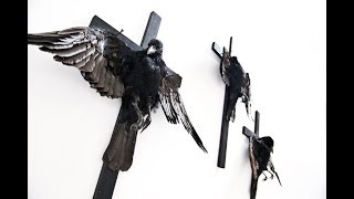 AMENRA - Nowena | 9.10 (LIVE)