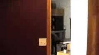 VAUX. &#39;Plague Music&#39; 13 April 2006