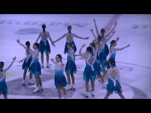 French Cup 2020 : Finettes (Finland) , novice advanced , programme libre .