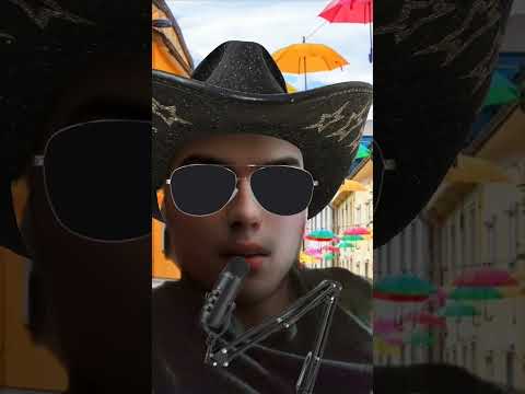 Trato De Muerte El Komander Ft Los Buchones De Culiacán TikTok
