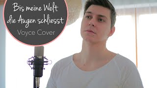 Joel Brandenstein &amp; Alexander Knappe - Bis meine Welt die Augen schließt (VOYCE COVER)