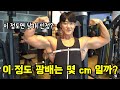 등에 날개달린 성악가 총총 가슴, 팔 둘레 사이즈는? #광배천사 #날개 #1일1깡