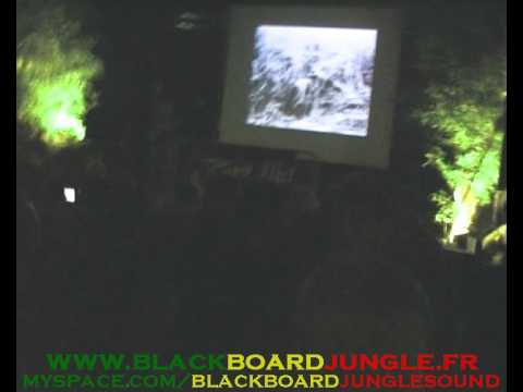 DUB STATION 1 Blackboard Jungle : Jimmy Riley - Live It Up (Nantes 2010)