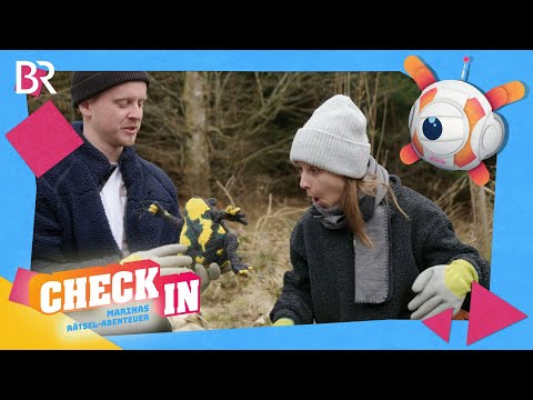 Gelbe Bäuche in Gefahr | CHECK IN - Marinas Rätsel-Abenteuer | BR