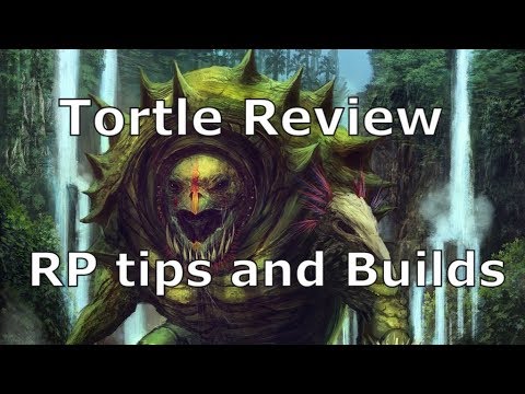 Tortle Review- DM Tips - Dungeons and Dragons