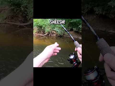 River fishing for HUGE bluegill bream