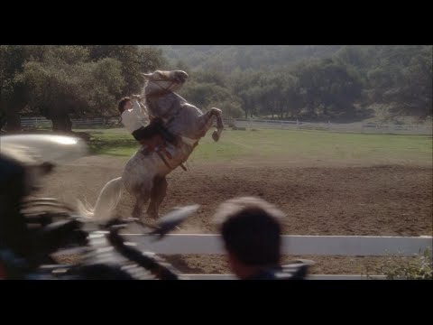 Hot Shots - Horse v Bike Scene - Dream Lover