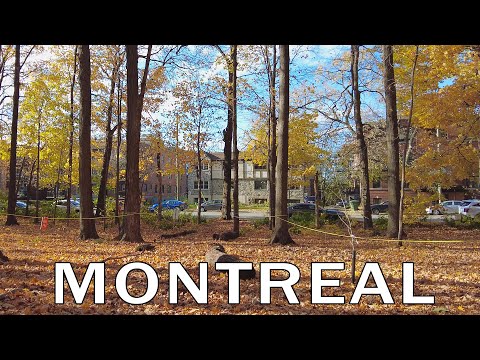 Montreal, Quebec - Caminhada de outono no centro da cidade - novembro de 2023