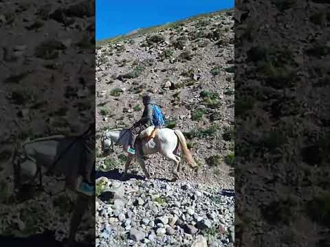 🏔️ Travesía Épica: Cabalgando por el Cerro Palomar rumbo al Límite con Chile 🇦🇷🇨🇱