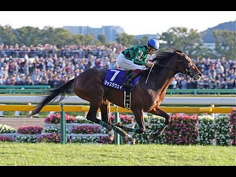 2013 Horse Racing _ Japan_ Tenno Sho _ Winner _Just A Way