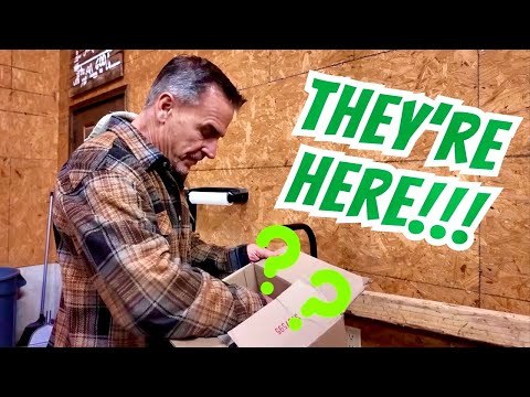 The First Rescues of the Year Have Arrived!