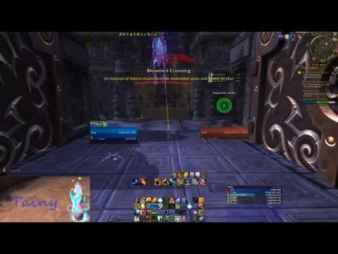 Shaman Solo Spirit of the Storm Lord legendary quest