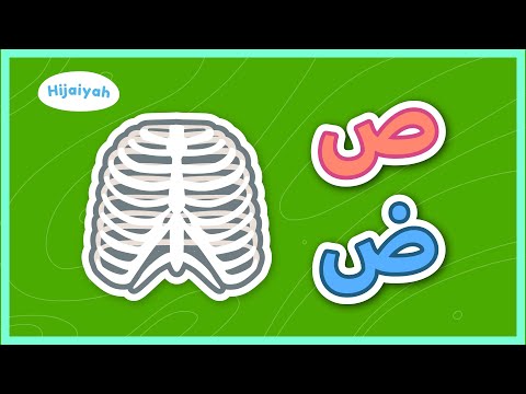 Belajar Huruf Hijaiyah Eps 8: Huruf Shod dan Huruf Dhod – Yufid Kids