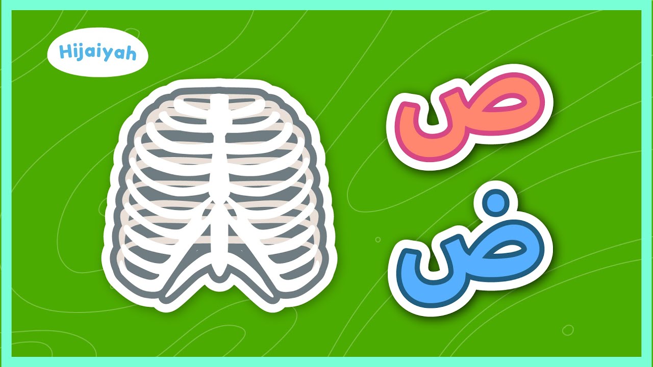 Belajar Huruf Hijaiyah Eps 8: Huruf Shod dan Huruf Dhod - Yufid Kids