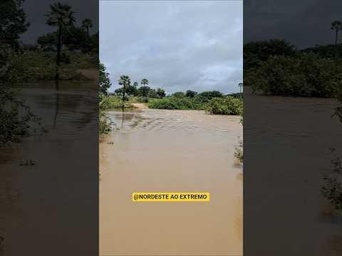 FORTES CHUVAS ELEVAM O NÍVEL DO RIO ITAIM EM ITAINOPOLIS PI