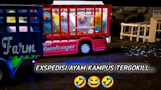 Download lagu Exspedisi truk ayam kampus 2 New Bekaje || vers miniatur truk || mp3