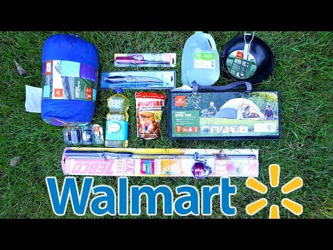 $100 Walmart Survival Challenge!!! (10 Items or LESS)