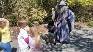 5、6歳児が魔法使いと英語でディベート/ニュージーランド海外生活