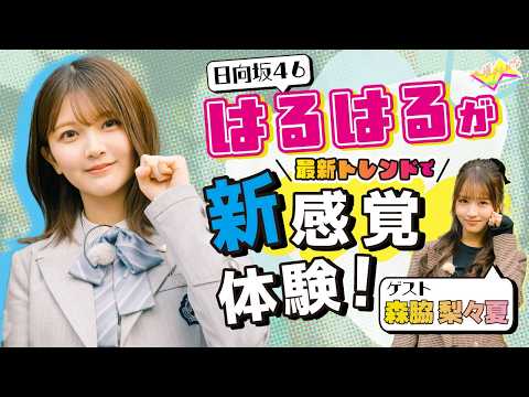 大須テレビ 特別編『日向坂46・平尾帆夏が大須テレビにやって来た！』