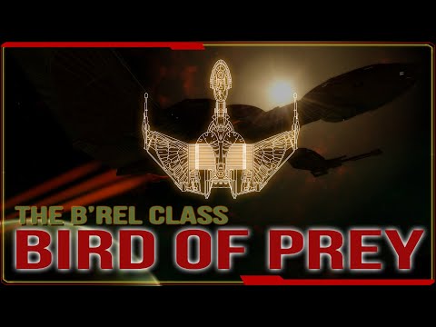 The Klingon Bird of Prey