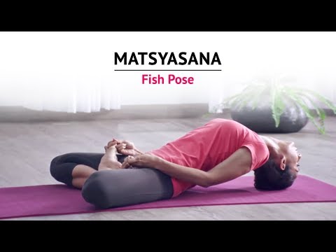 download lagu mp3 mp4 Matsyasana Benefits, download mp3 Matsyasana Benefits free download, download mp3 Matsyasana Benefits