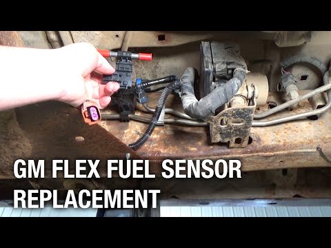 GM Flex Fuel Sensor Replacement | Installation Spotlight