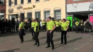 preview picture of video 'Opvisning catalansk country 120601.avi'