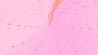 Uniti no, divisi no - Riccardo Cocciante