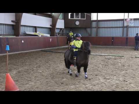 Ponyspiel-Liga in Oldenburg-Nord angekommen