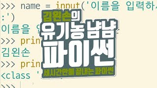 자료형 확인하기 | 유기농냠냠파이썬 | 김왼손의 왼손코딩