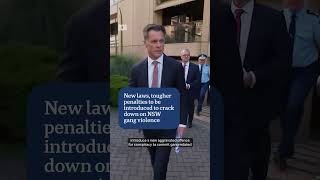 New laws, tougher penalties to crack down on NSW gang violence | ABC N