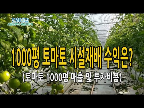 , title : '토마토농사 시설재배 1000평 연매출 & 투자비용 및 수익 공개 / 귀농작물 [시골농부 천하대감]'