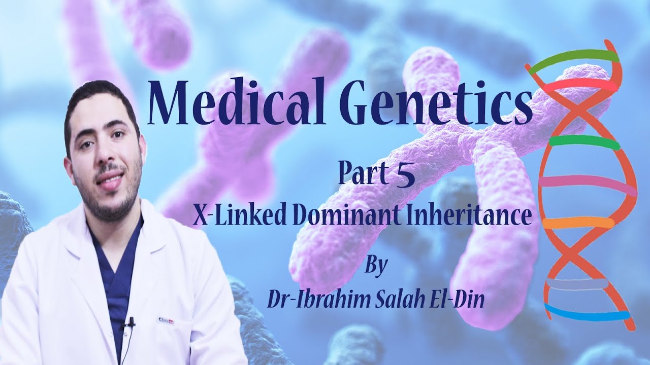 Medical Genetics Part 5 X-Linked dominant inheritance