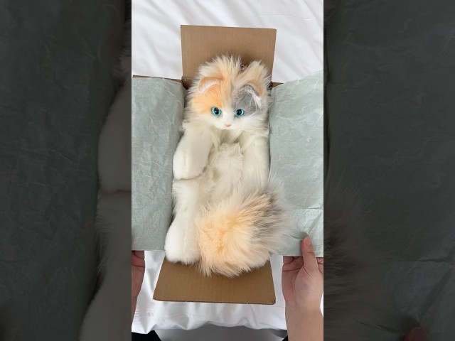 Vídeo relacionado con SQEQE Black Cat Plushies Stuffed Animals with 4 Babies, Cute Black Cat Plush Pillow Soft Toy Birthday Gifts for Girls Boys
