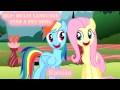 MLP FiM - Find a Pet Song - Multi Language 