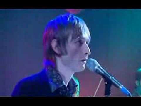 The divine comedy - our mutual friend
