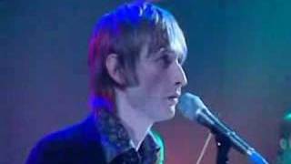 The divine comedy - our mutual friend