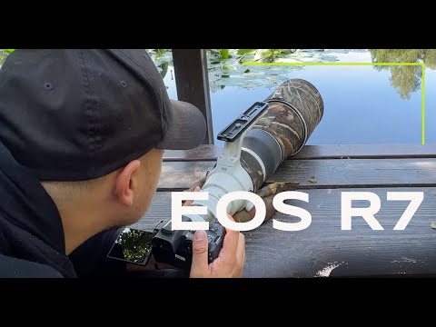 Review - Canon EOS R7