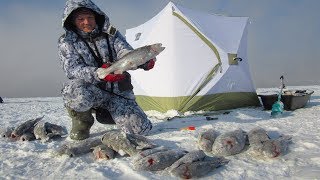 Ловля рыбы в запрещенном месте